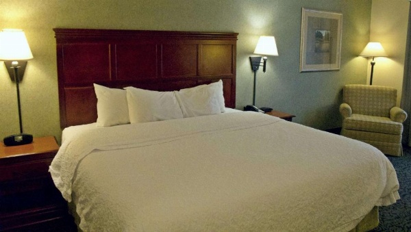 Hampton Inn By Hilton Ithaca image 15